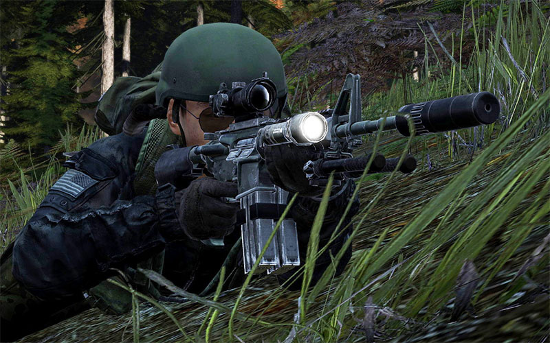 DayZ