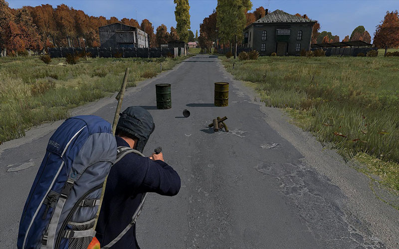 DayZ